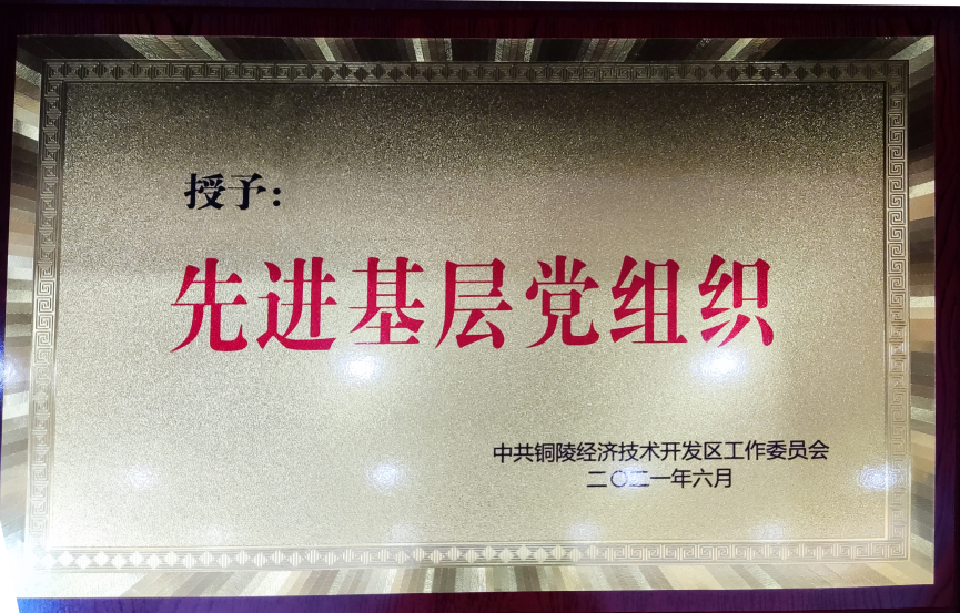 先进基层党组织